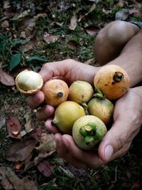 High angle view of man holding fruits