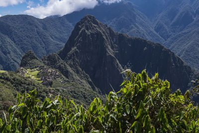 Elevated view of inca ruins, machu picchu, cusco, peru, south america