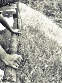 Cropped image of person holding grass in field