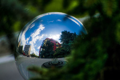 Reflection of trees on glass against sky