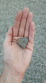 Close-up of hand holding leaf
