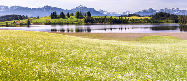 Scenic view of lake by mountains