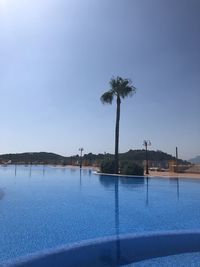 Palm trees by swimming pool against clear sky