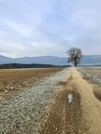 Dirt road amidst field against sky