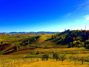 Scenic view of agricultural field against clear blue sky