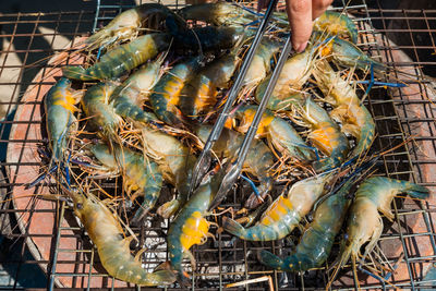 High angle view of fish in market