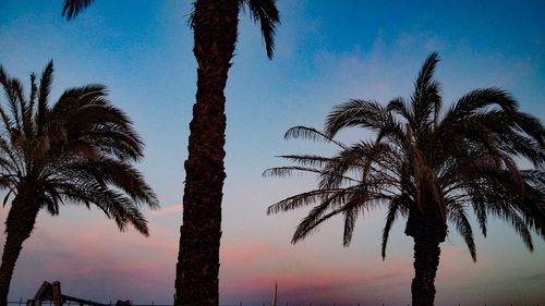 Low angle view of palm trees against sky during sunset