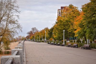 Benches on roadside by trees against sky during autumn