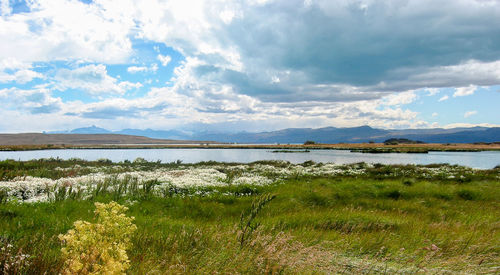Scenic view of field by lake against sky