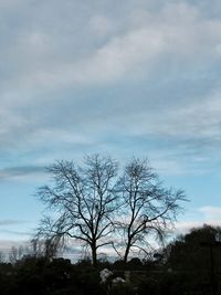Low angle view of bare tree against sky