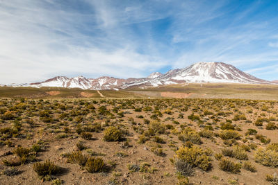 Scenic view of desert against sky