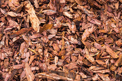 Background of brown woooden suwdust . pattern of wooden texture and background . 