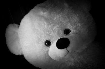 Close-up of stuffed toy