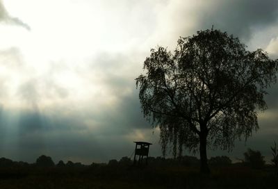 Silhouette trees on field against sky during sunset