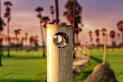 Close-up of wooden post on field