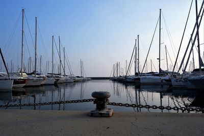 Sailboats in marina