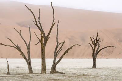 Scenic view of desert against sky