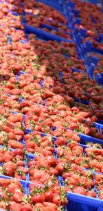 High angle view of fruits for sale in market