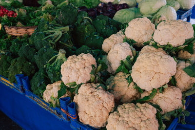 Close-up of food