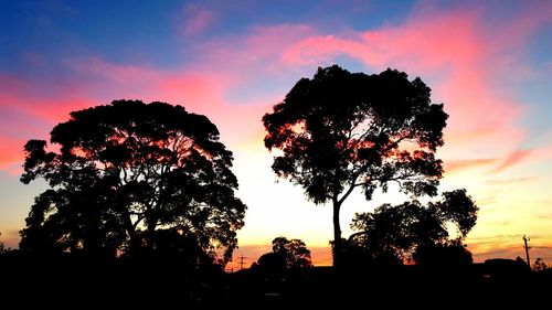 Low angle view of silhouette trees against sky during sunset