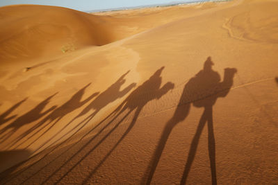 Shadow of people riding a desert