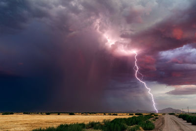 A powerful lightning bolt strikes from a monsoon storm at sunset.