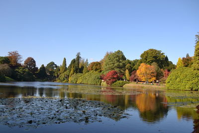 Scenic view of lake by trees against clear blue sky