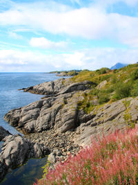 Scenic view of sea against sky