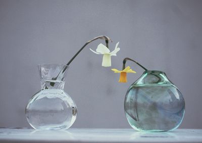 Yellow and white daffodils in glass vase against wall