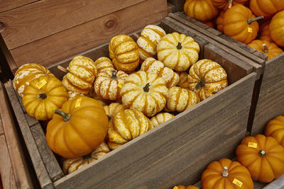 Mini orange and yellow pumpkins on a wooden table at a farmers market in woodstock, vermont