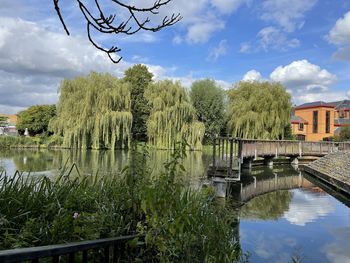 Panoramic view of ware