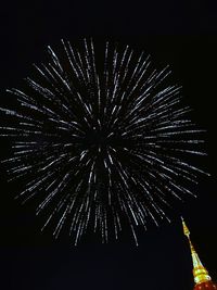 Low angle view of firework display at night