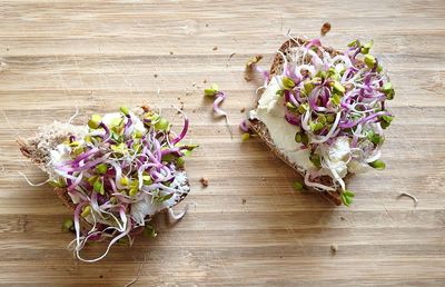 High angle view of flowering plant on table