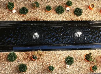 Full frame shot of multi colored wall