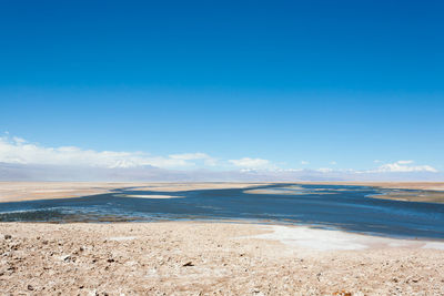 Scenic view of beach against blue sky