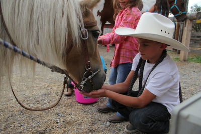 Boy feeding food to horse on field