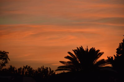 Low angle view of silhouette trees against sky during sunset