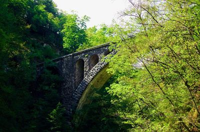 Low angle view of bridge in forest against sky