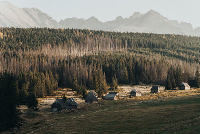 Scenic view of field against mountains