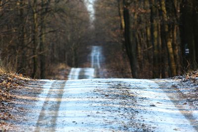 Road passing through trees in forest