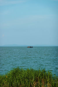 Sailboat sailing in sea against sky