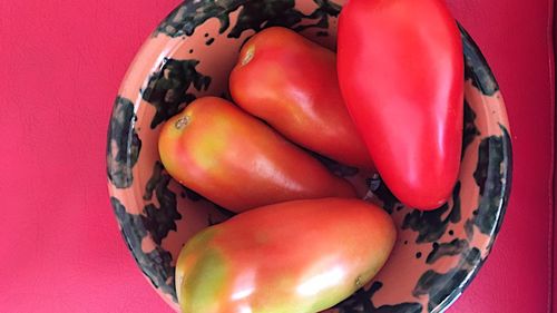 Close-up of tomatoes over red background