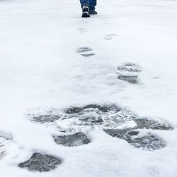 Scenic view of snow