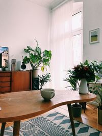 Potted plant on table at home