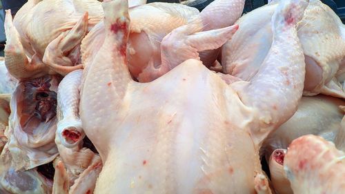 Close-up of chicken meat for sale at market