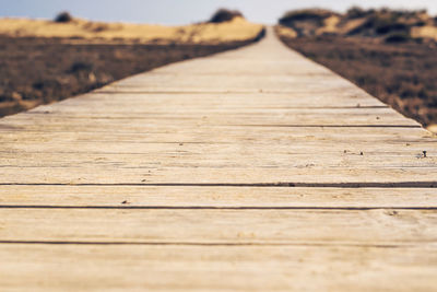 Surface level of boardwalk