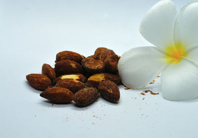 Close-up of white flowers on table