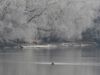 Scenic view of lake