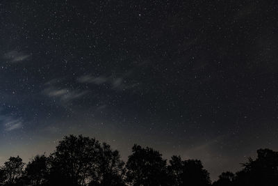 Low angle view of silhouette trees against star field at night