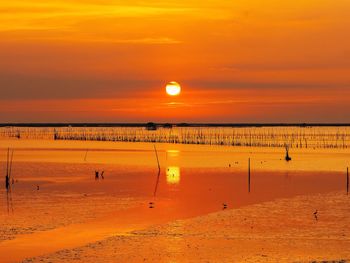 Scenic view of sea against orange sky